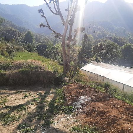 Parvatiya Homestay Mussoorie Luaran gambar