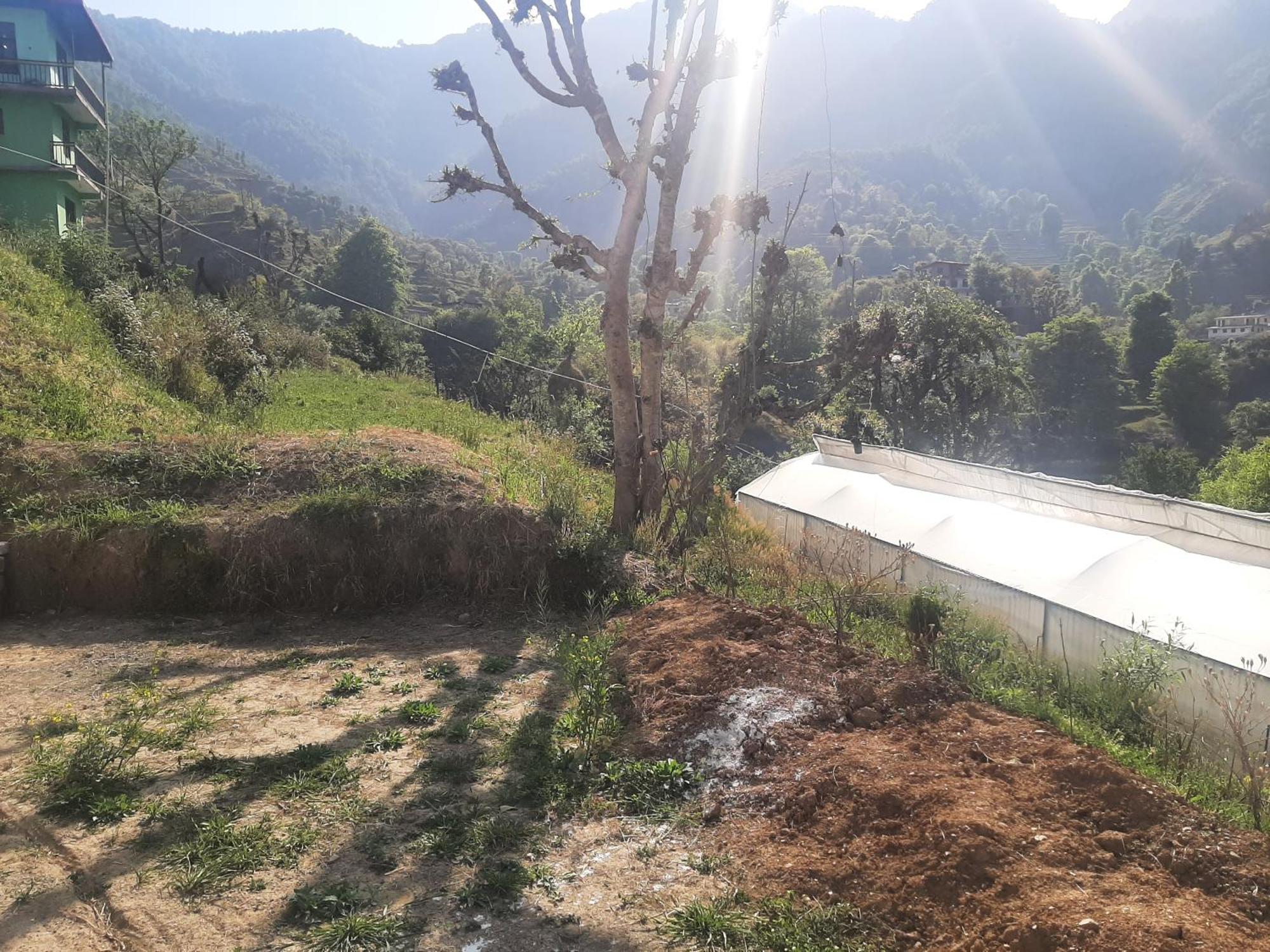 Parvatiya Homestay Mussoorie Luaran gambar